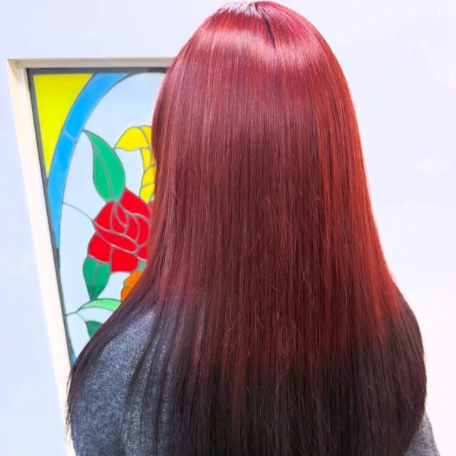 #エンドカラー 
#ボルドー × #チャコールグレー 
#外国人風カラー #ファイバープレックス #アディクシーカラー #小牧 #小牧市 #小牧美容室 #春日井